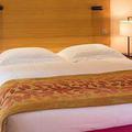 Отель Hotel Ermitage Evian Resort